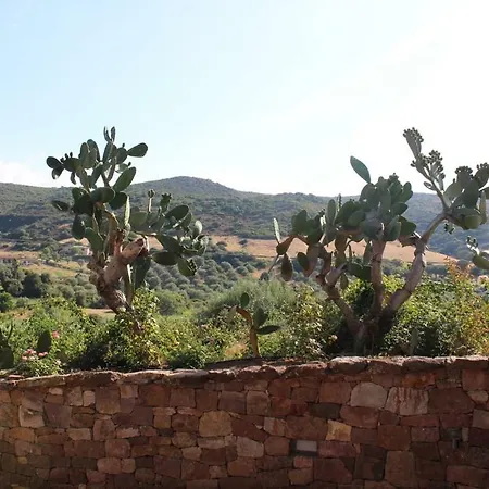 Bed and breakfast Kapi Country
