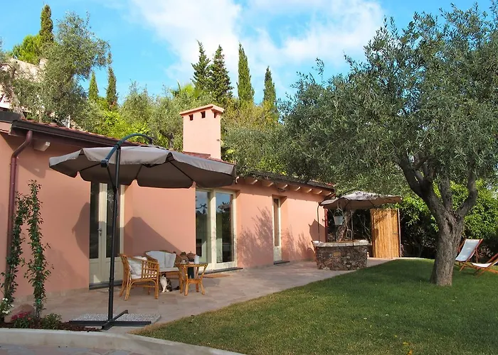 Kapi Country Αλγκέρο