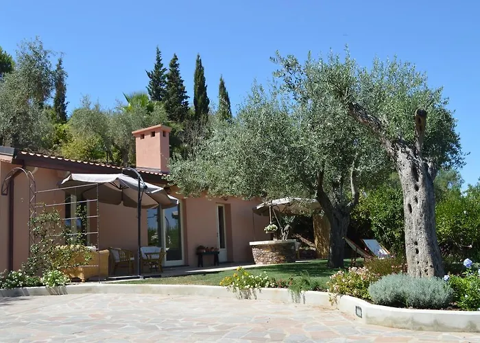 Kapi Country Αλγκέρο