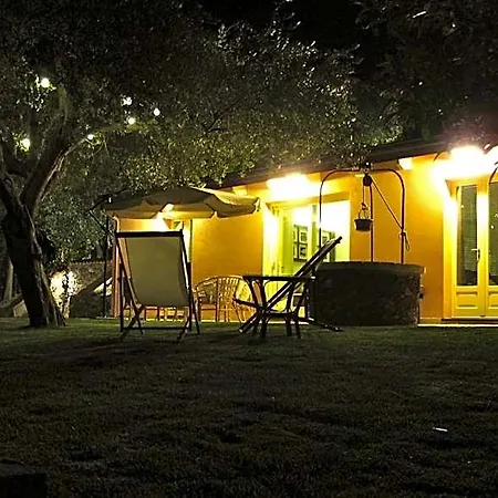 住宿加早餐酒店 卡皮康提住宿加早餐旅馆 阿尔盖罗