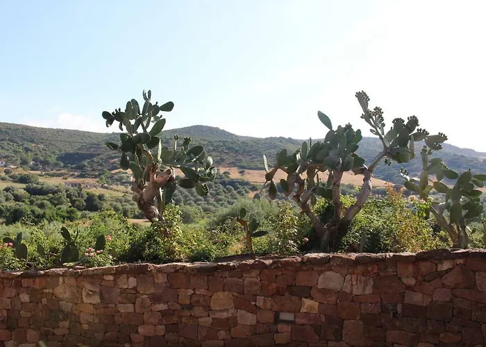 Bed & Breakfast Kapi Country